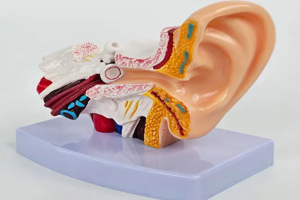Myringotomy