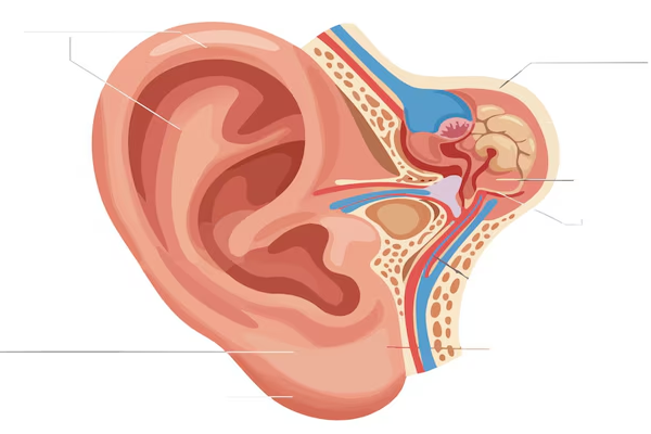 Grommet Insertion