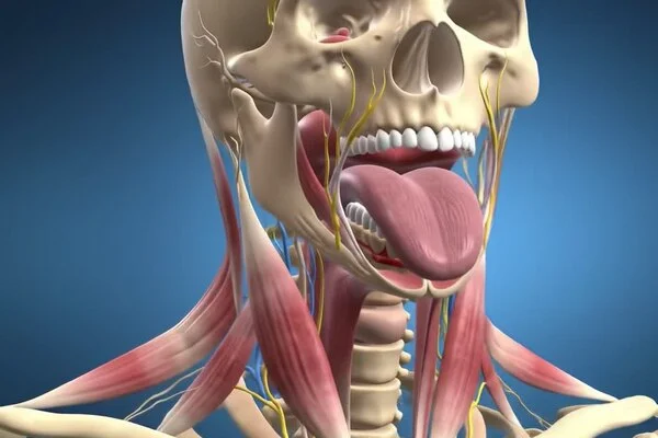Laryngeal Biopsy